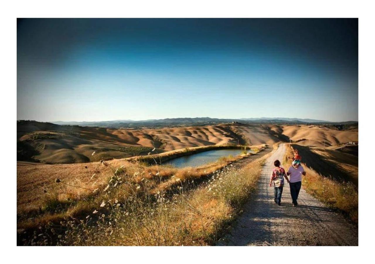 Agriturismo Le Crete - Appartamenti Asciano Exterior foto