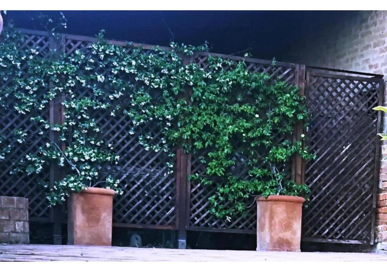 Agriturismo Le Crete - Appartamenti Asciano Exterior foto